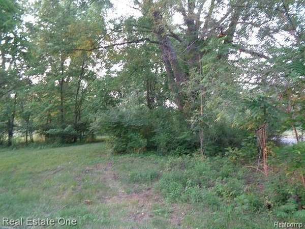 0.1 Acres of Residential Land for Sale in Detroit, Michigan