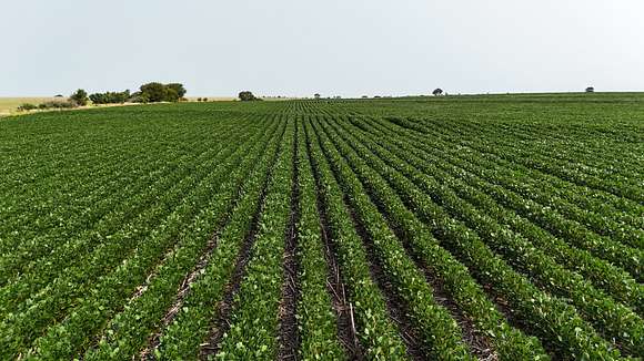 153 Acres of Agricultural Land for Sale in Alta Vista, Kansas