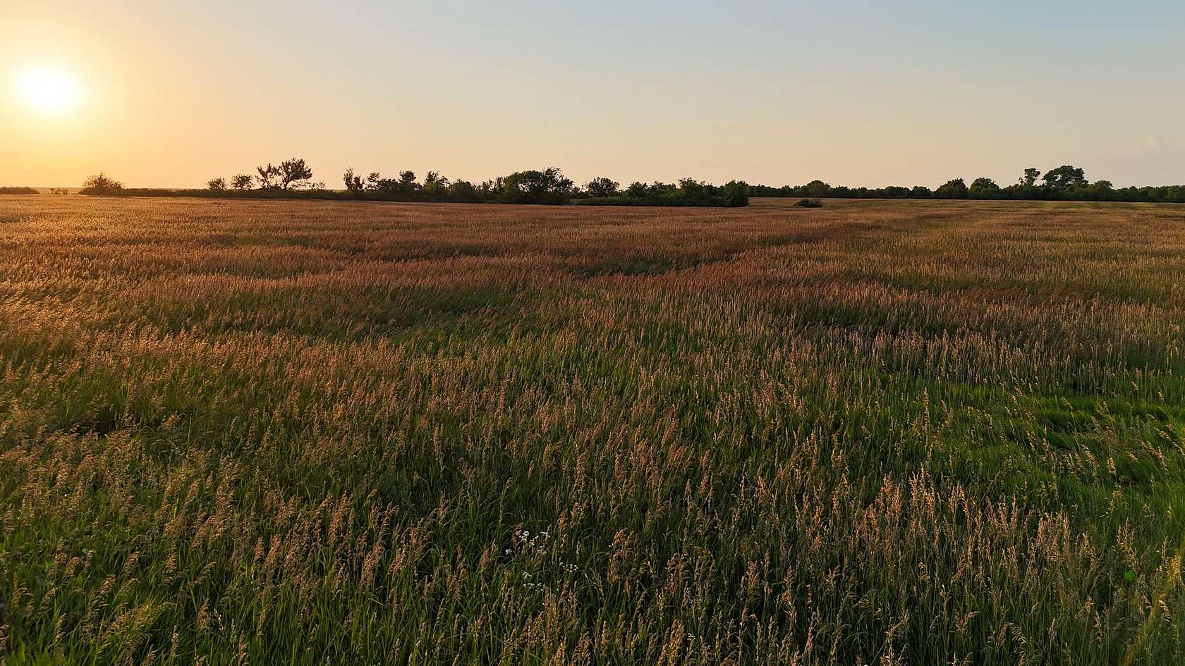 158 Acres of Recreational Land & Farm for Sale in Alta Vista, Kansas