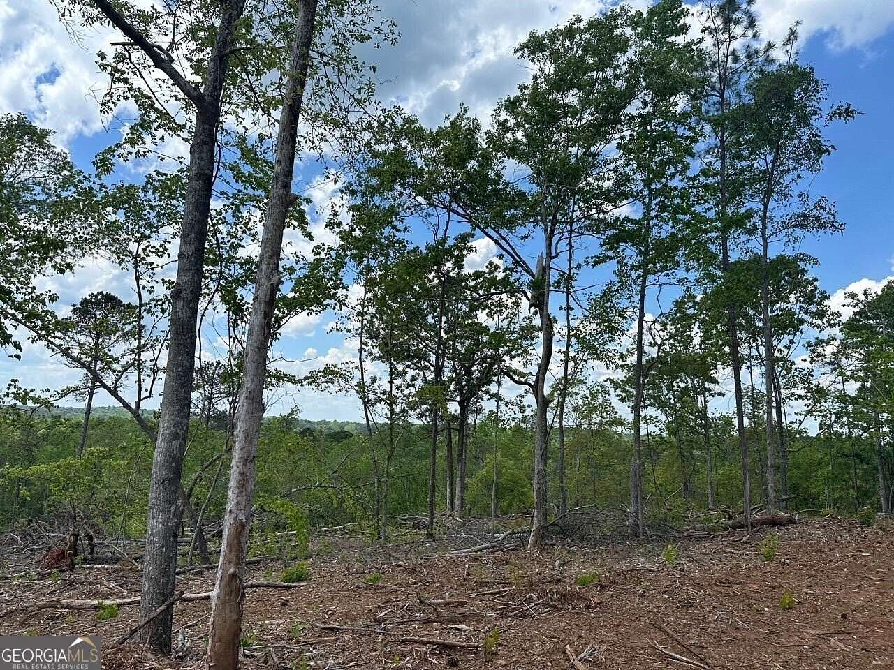 137 Acres of Recreational Land for Sale in LaGrange, Georgia