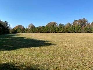 43.5 Acres of Agricultural Land for Sale in Saluda, South Carolina