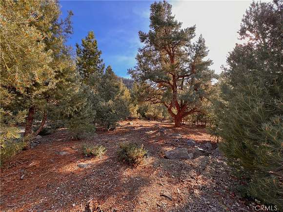 0.242 Acres of Residential Land for Sale in Pine Mountain Club, California