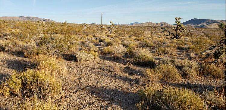 2.1 Acres of Residential Land for Sale in White Hills, Arizona
