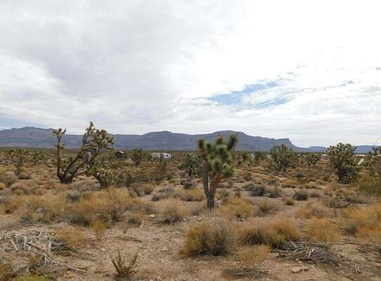 1.3 Acres of Residential Land for Sale in Kingman, Arizona