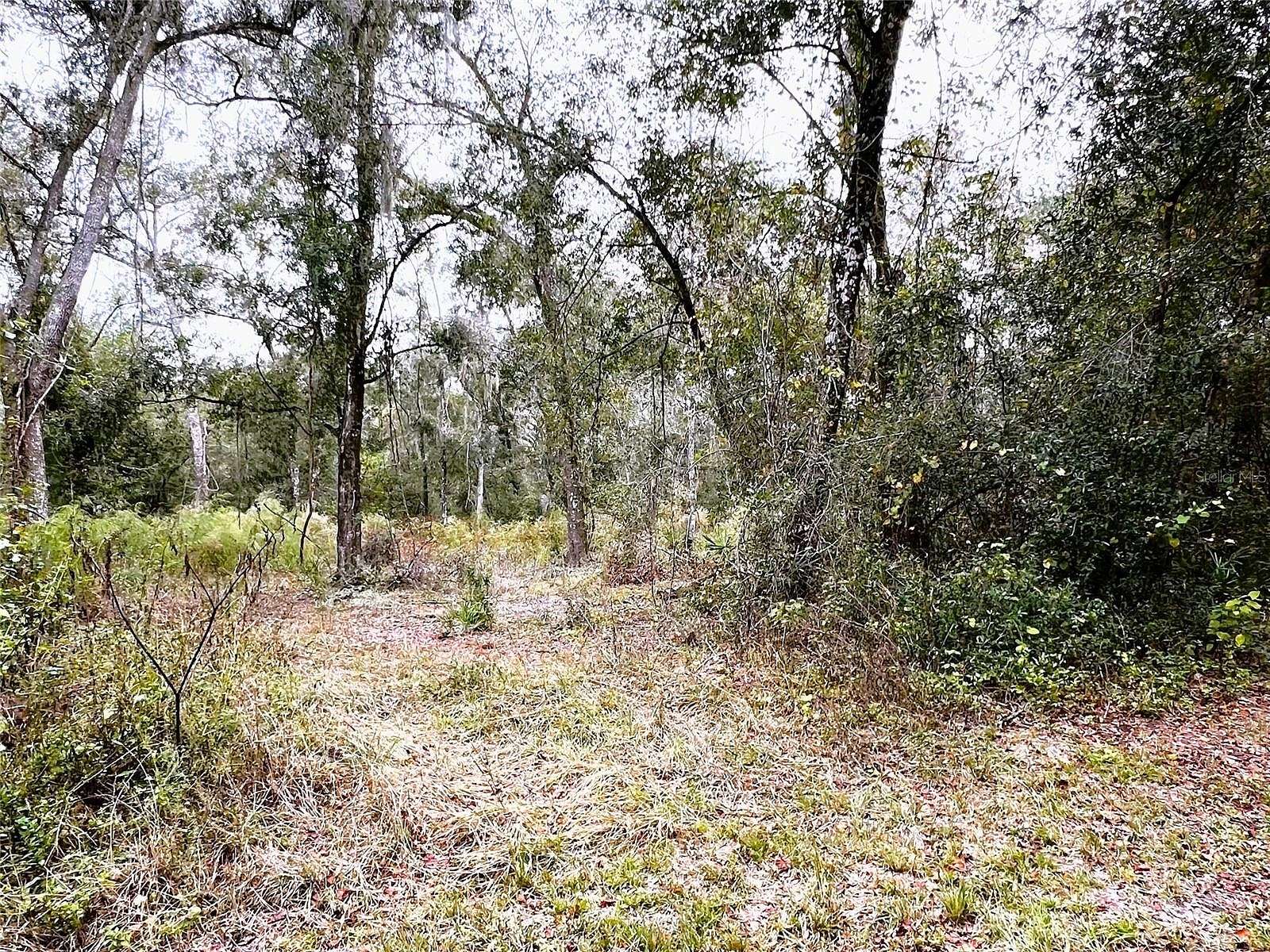 0.61 Acres of Residential Land for Sale in Webster, Florida