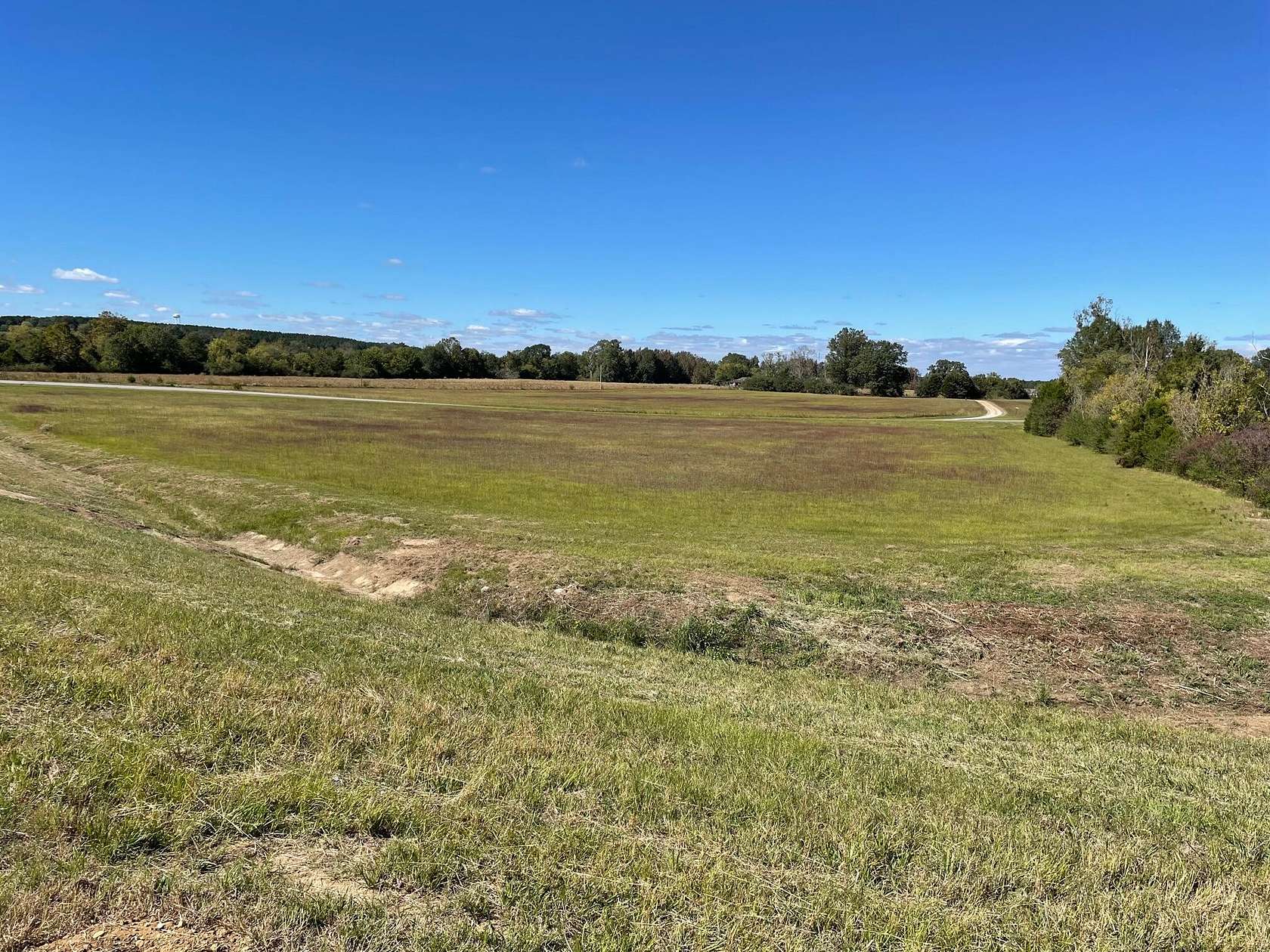 42.34 Acres of Mixed-Use Land for Sale in Baldwyn, Mississippi