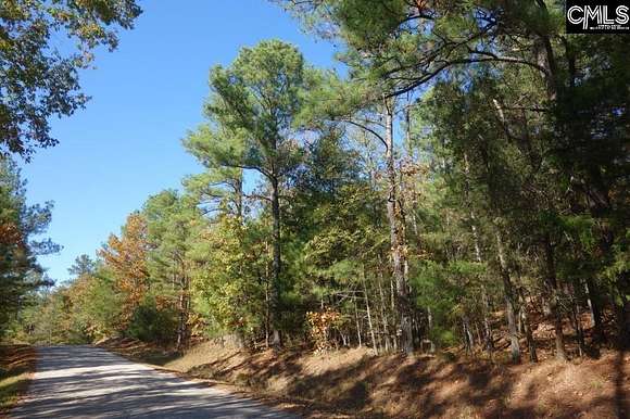 37 Acres of Recreational Land for Sale in Winnsboro, South Carolina
