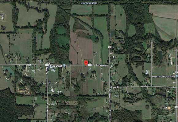 7.4 Acres of Land for Sale in Ecru, Mississippi