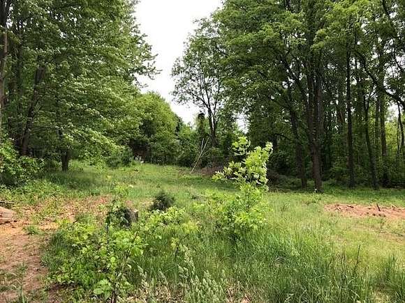 0.6 Acres of Residential Land for Sale in Laingsburg, Michigan