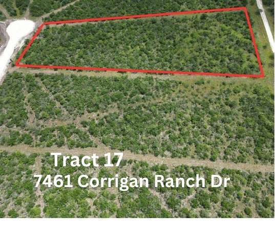 5.18 Acres of Residential Land for Sale in Skidmore, Texas