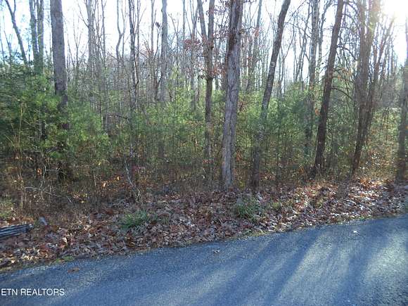 14.2 Acres of Land for Sale in Oneida, Tennessee