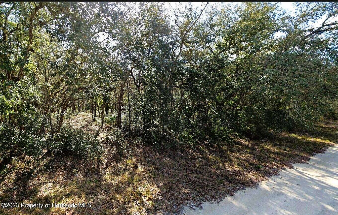 1.16 Acres of Residential Land for Sale in Webster, Florida