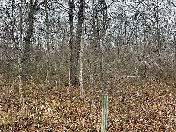 12.5 Acres of Land for Sale in Jamestown, Tennessee