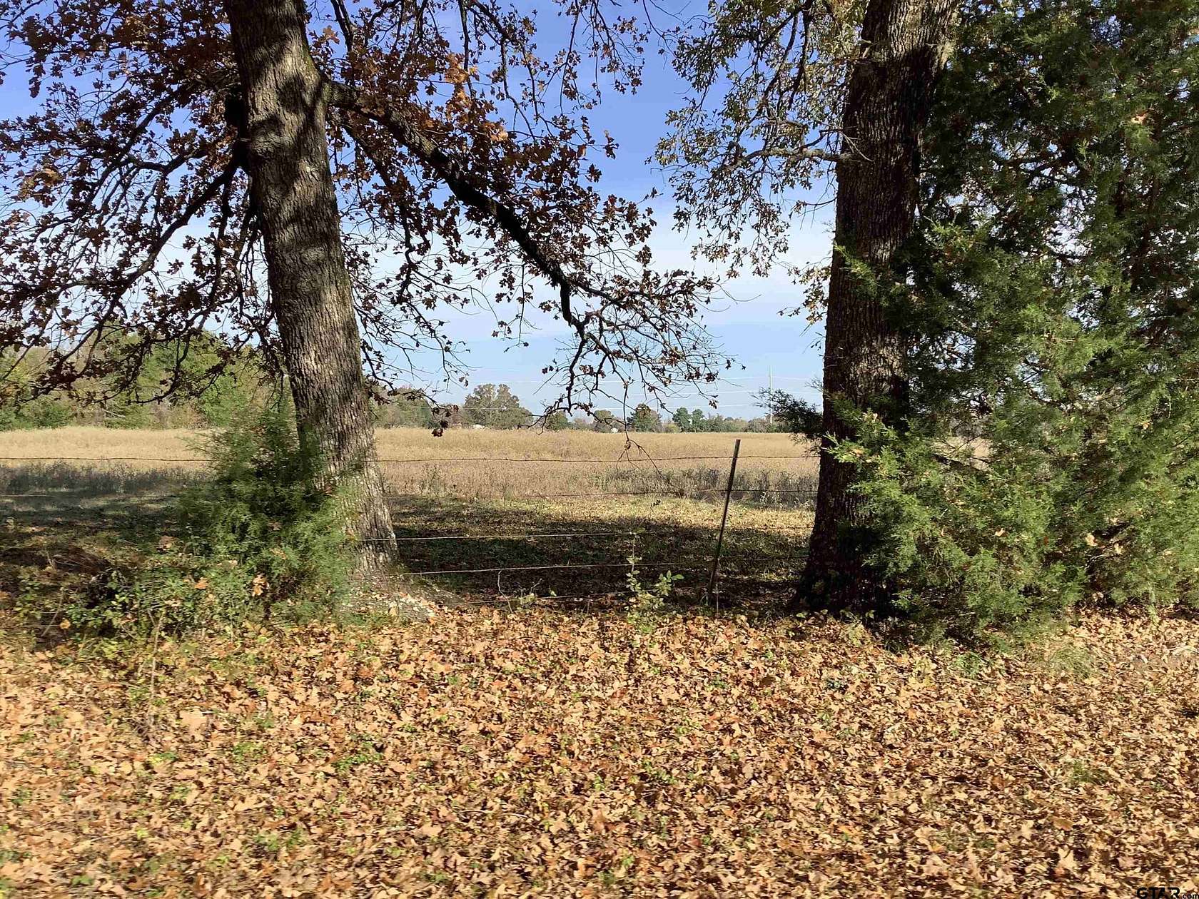 13.2 Acres of Land for Sale in Murchison, Texas