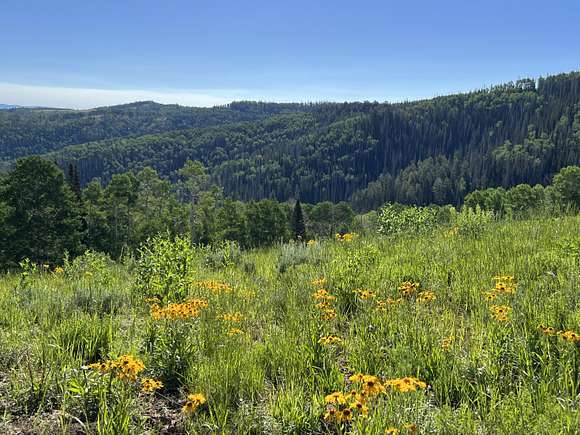 2,082 Acres of Recreational Land for Sale in Fairview, Utah