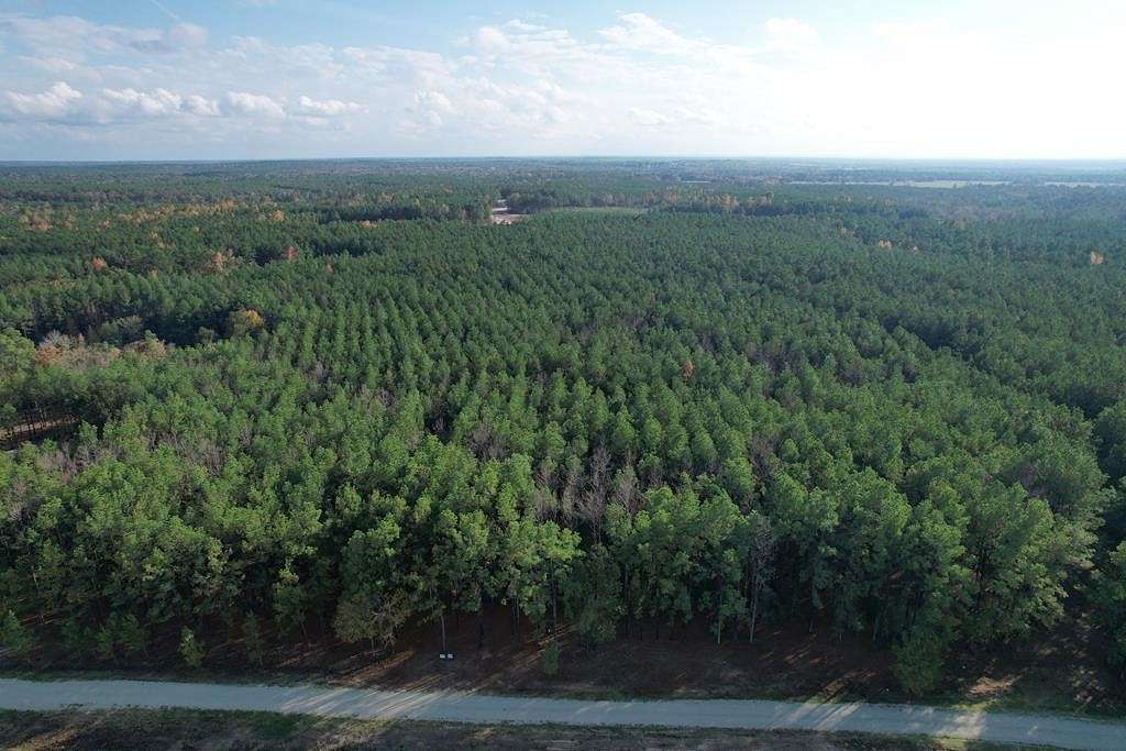 10 Acres of Recreational Land for Sale in Lovelady, Texas