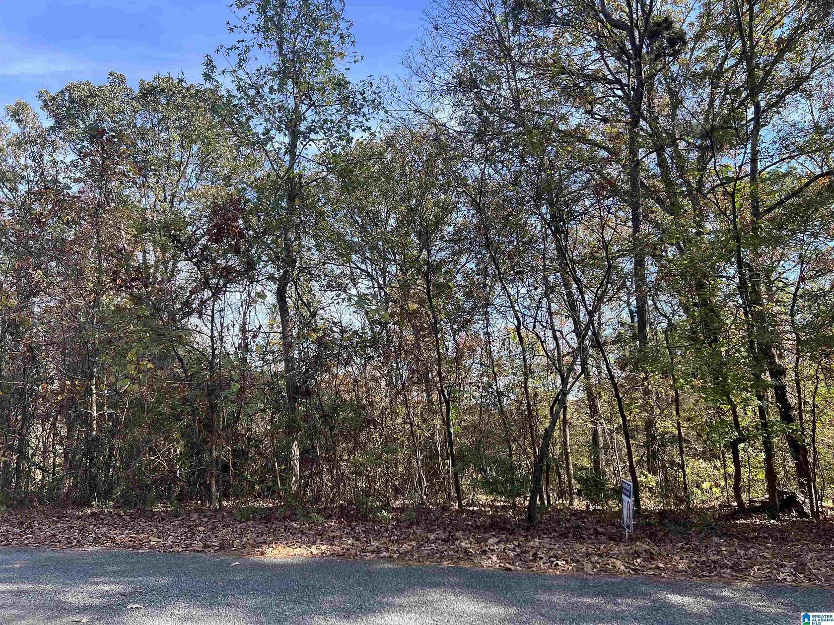 1.2 Acres of Residential Land for Sale in Alpine, Alabama