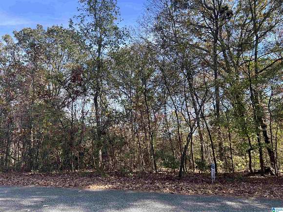 1.2 Acres of Residential Land for Sale in Alpine, Alabama