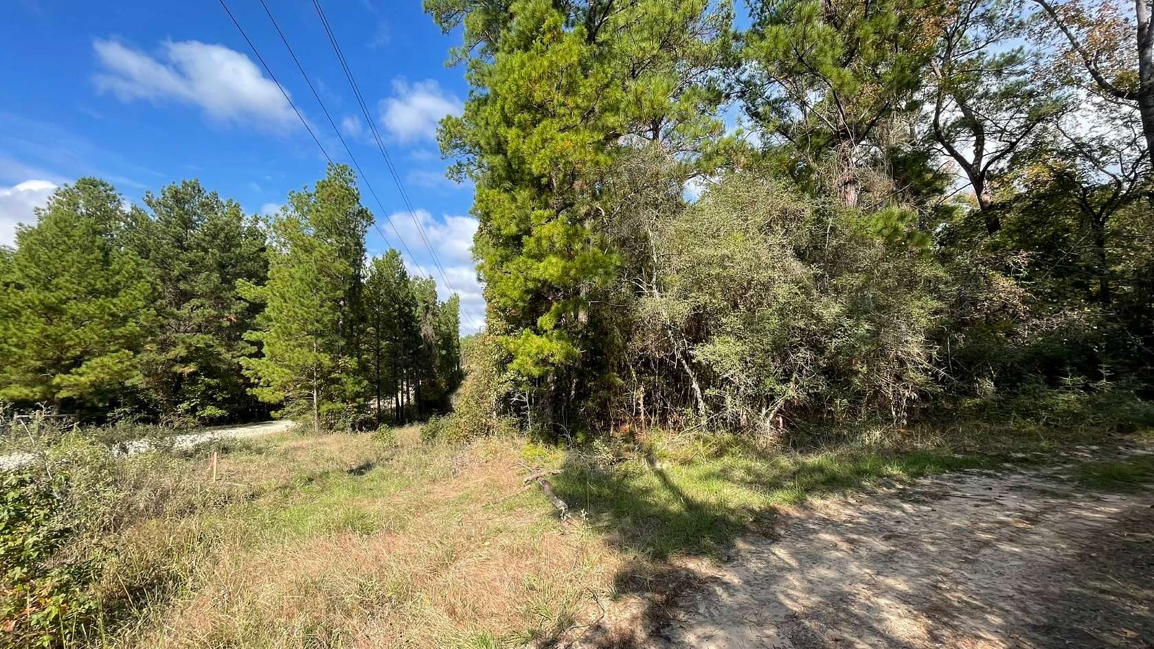 0.18 Acres of Residential Land for Sale in Trinity, Texas
