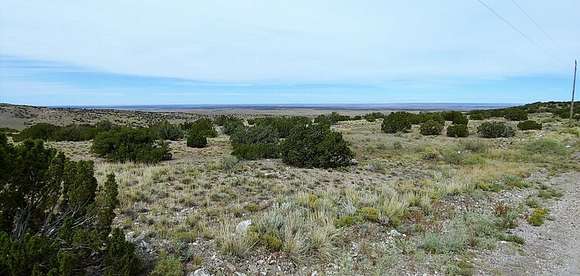 2.4 Acres of Residential Land for Sale in Concho, Arizona