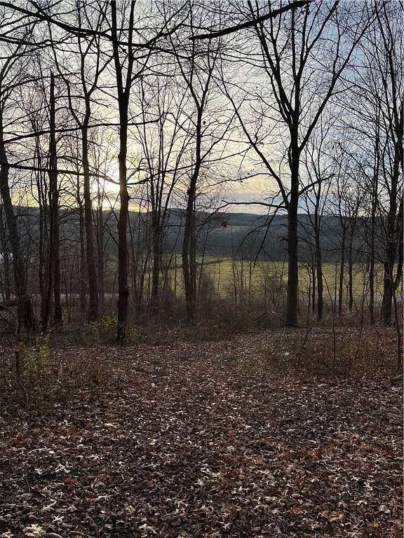 6.5 Acres of Residential Land for Sale in Bristol, New York