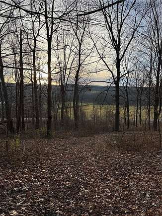 6.5 Acres of Residential Land for Sale in East Bloomfield, New York