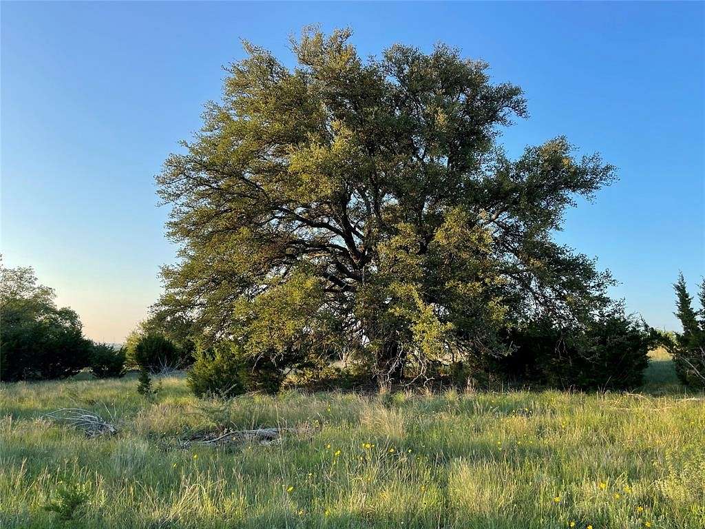 25 Acres of Recreational Land for Sale in Goldthwaite, Texas