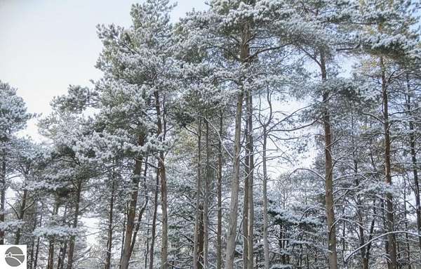 20.3 Acres of Land for Sale in Buckley, Michigan