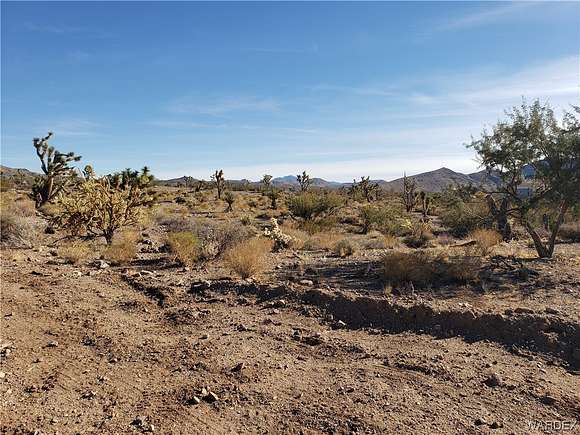 1.03 Acres of Residential Land for Sale in White Hills, Arizona