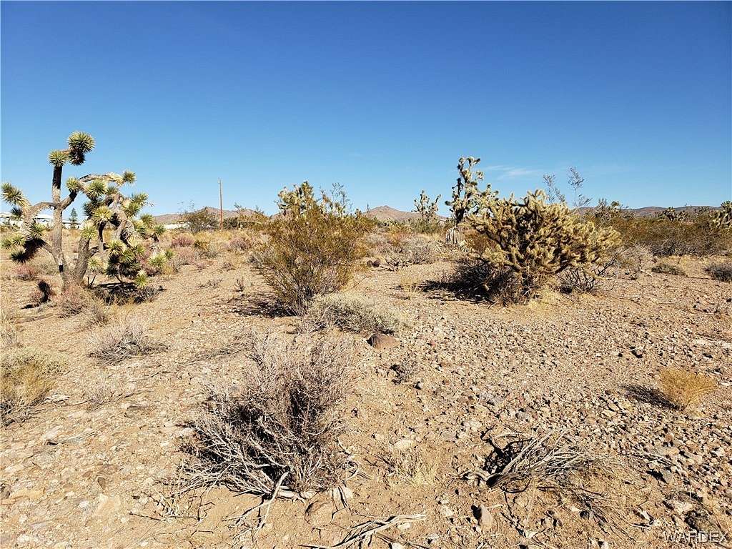 1 Acre of Land for Sale in White Hills, Arizona