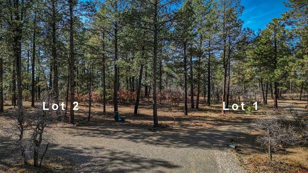 13.2 Acres of Land for Sale in Pagosa Springs, Colorado