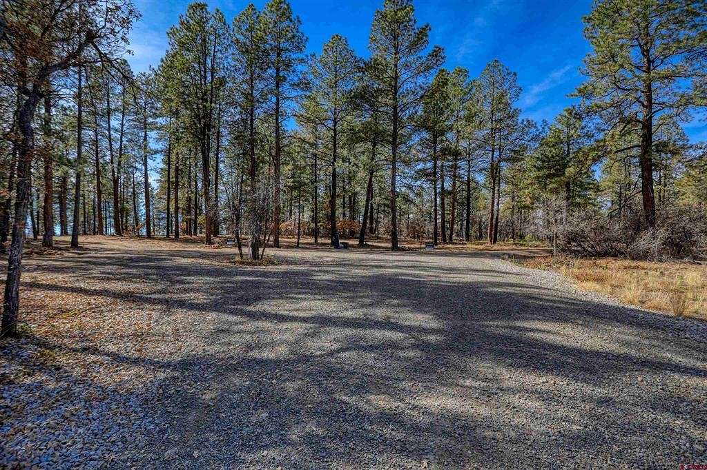 13.2 Acres of Land for Sale in Pagosa Springs, Colorado