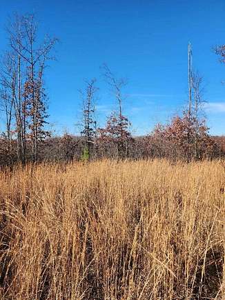 34 Acres of Recreational Land for Sale in Eminence, Missouri