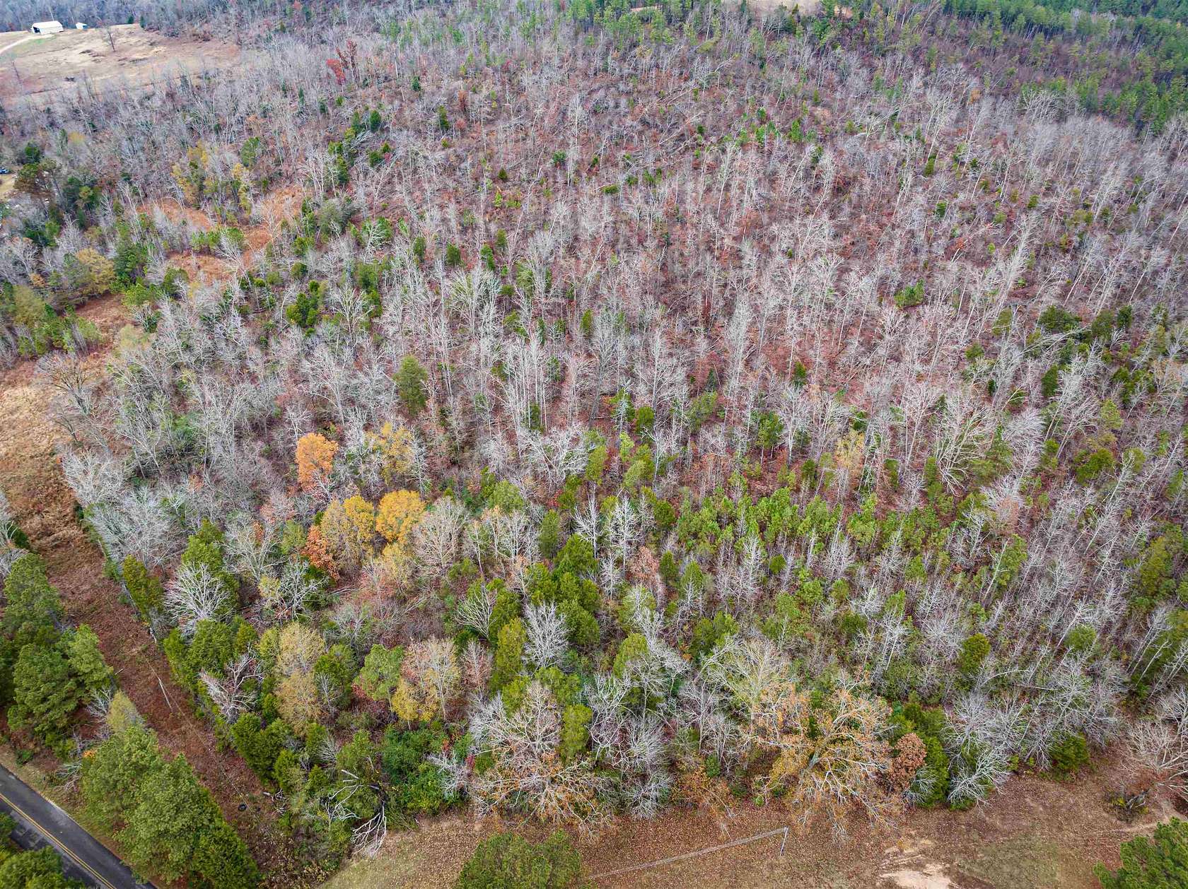 18 Acres of Land for Sale in Parsons, Tennessee