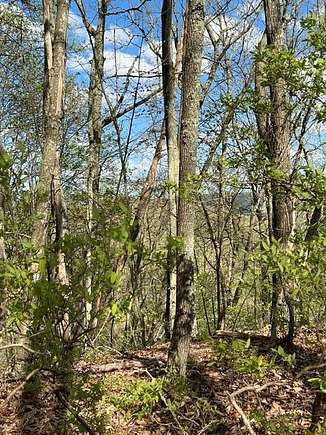 5 Acres of Land for Sale in Rocky Gap, Virginia