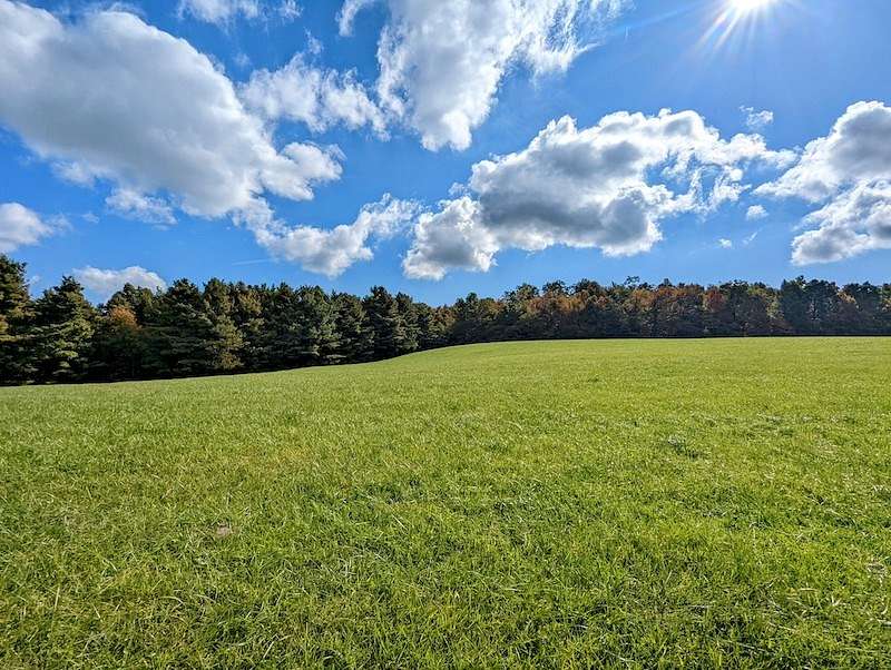 22 Acres of Land for Sale in Meadows of Dan, Virginia