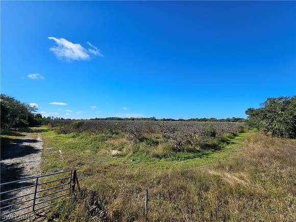 72.5 Acres of Agricultural Land for Sale in Moore Haven, Florida