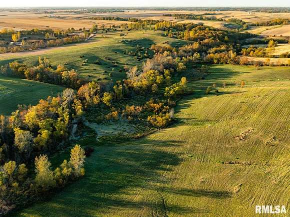 110 Acres of Land for Sale in Aledo, Illinois