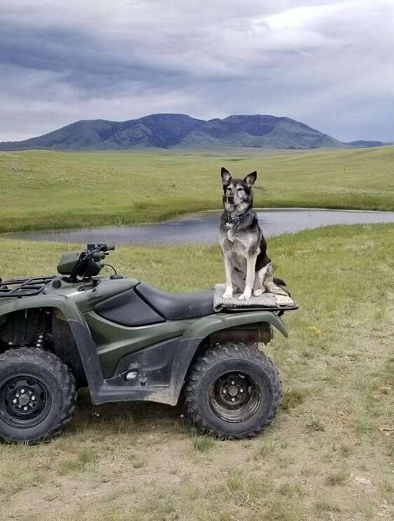 1,409 Acres of Recreational Land & Farm for Sale in Chester, Montana