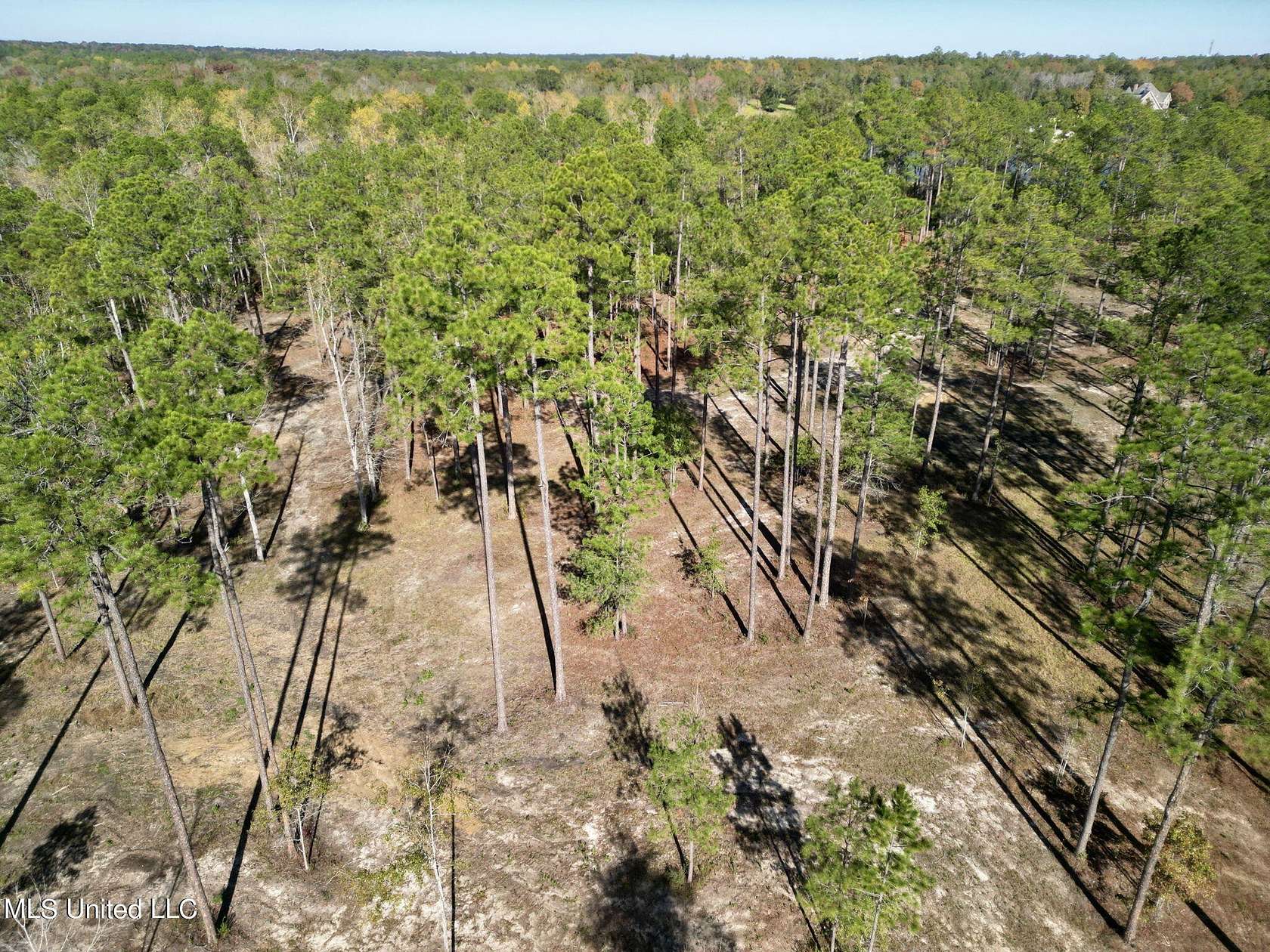 3.9 Acres of Residential Land for Sale in Poplarville, Mississippi