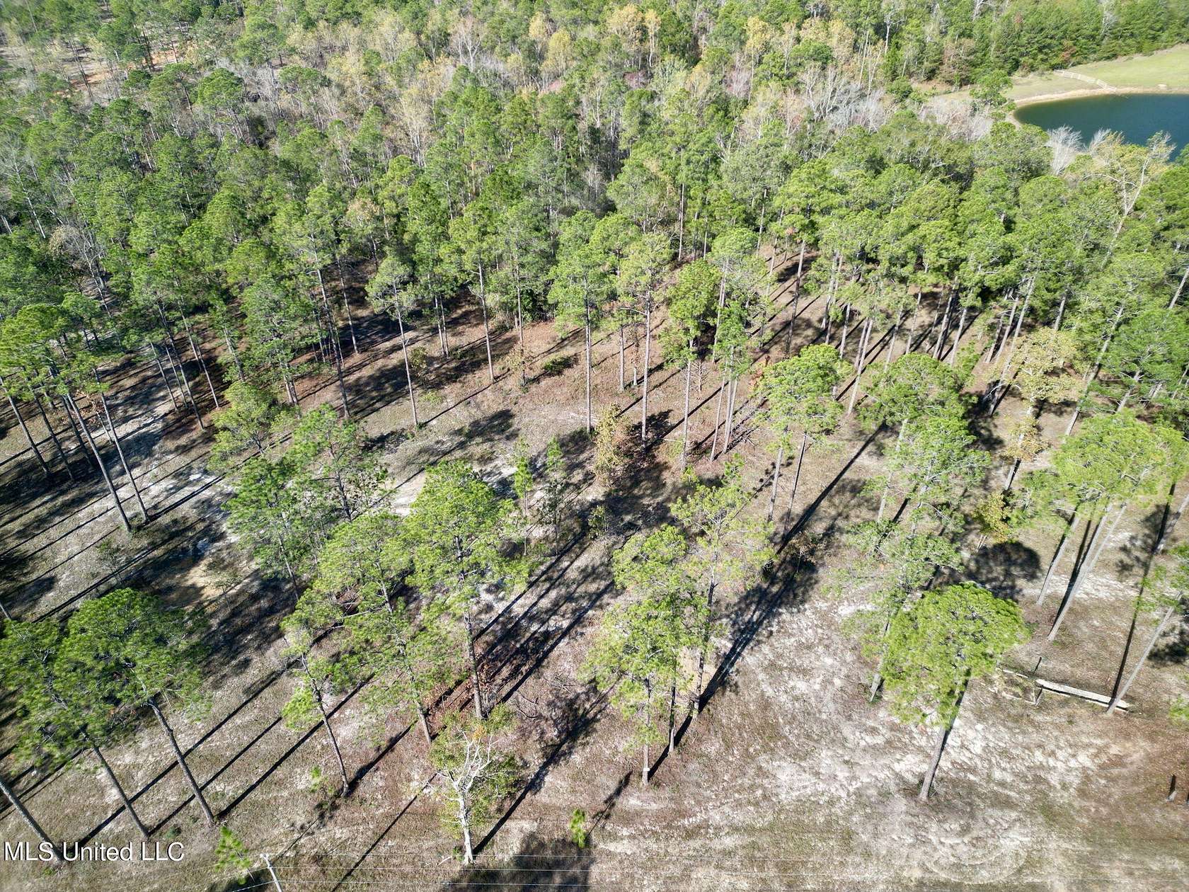 3.4 Acres of Residential Land for Sale in Poplarville, Mississippi