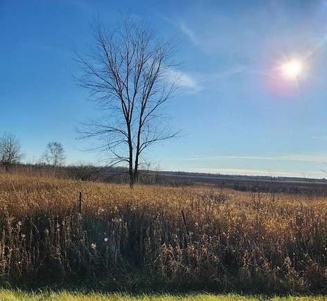 80 Acres of Recreational Land & Farm for Sale in Conrath, Wisconsin