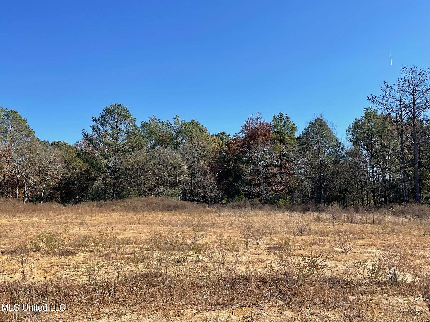 1.6 Acres of Residential Land for Sale in Byhalia, Mississippi