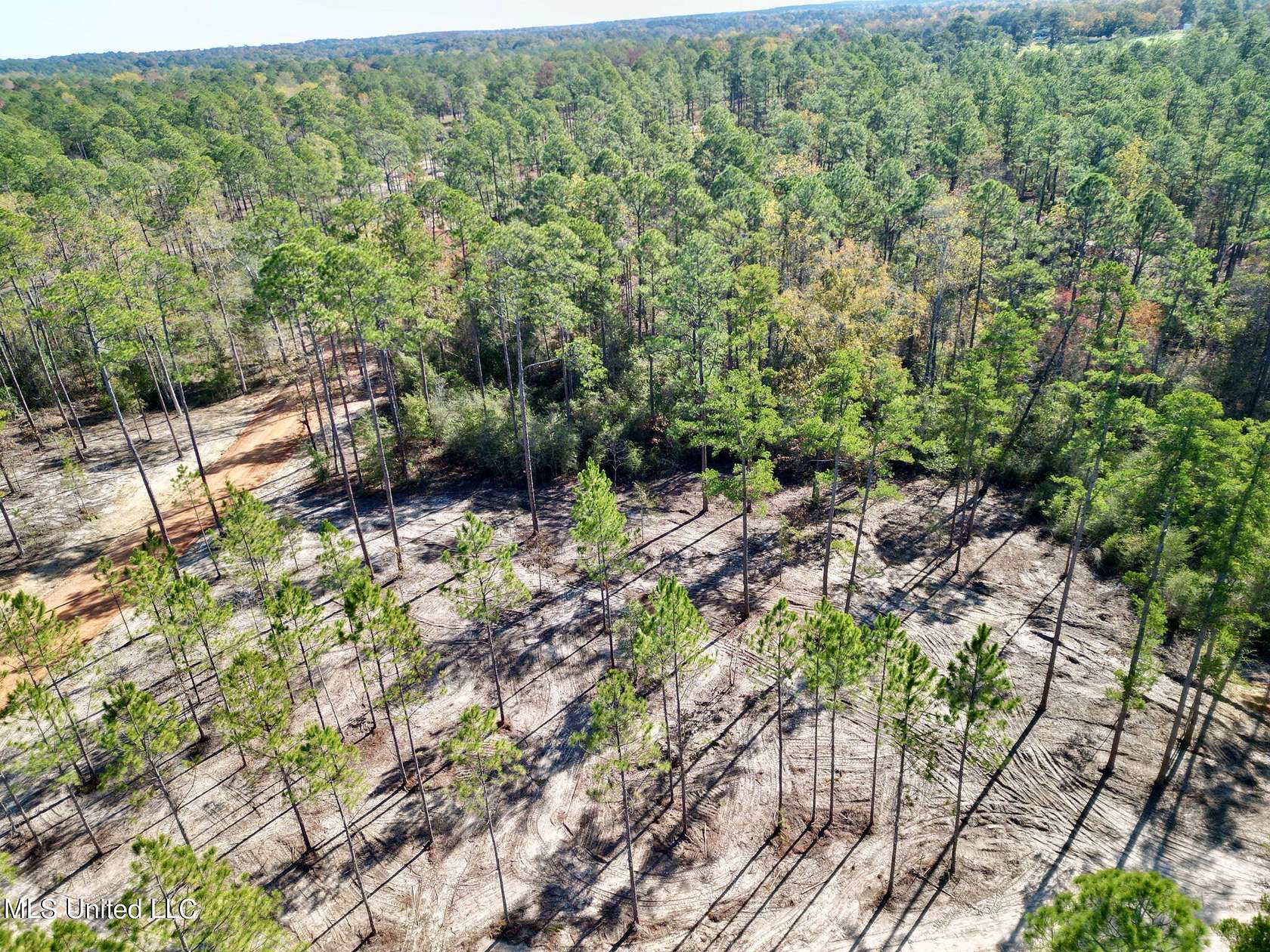 5.5 Acres of Residential Land for Sale in Poplarville, Mississippi