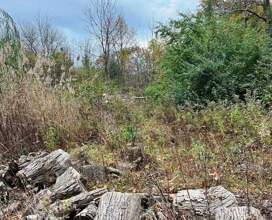 4.9 Acres of Residential Land for Sale in Crown Point, Indiana