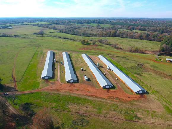 70 Acres of Agricultural Land for Sale in San Augustine, Texas