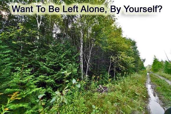 40.47 Acres of Recreational Land for Sale in Mapleton, Maine