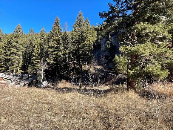 22.2 Acres of Recreational Land for Sale in Philipsburg, Montana