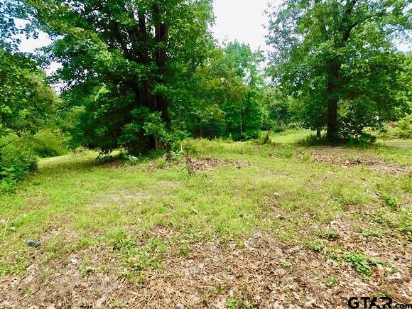 0.335 Acres of Residential Land for Sale in Tyler, Texas