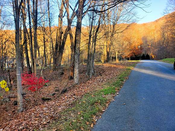 0.64 Acres of Residential Land for Sale in Roan Mountain, Tennessee
